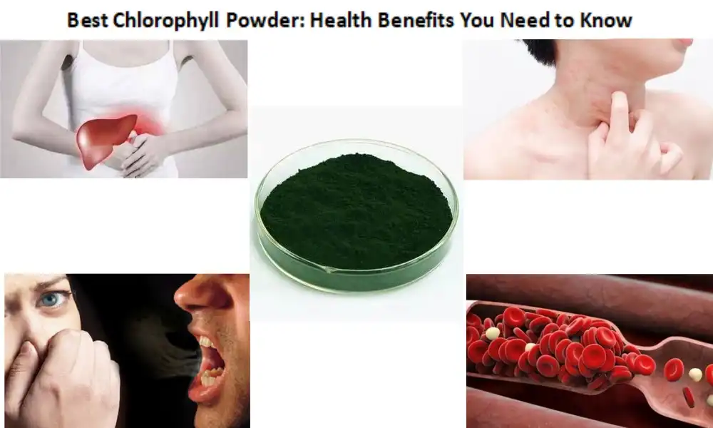 Best Chlorophyll Powder: Health Benefits You Need to Know